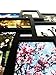 BestBuy Frames Wall Hanging Large 10-Piece Multiple Opening Collage Picture Black Frames for 4-Inch-by-6-Inch Photos