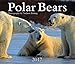 Polar Bears 2017 by 