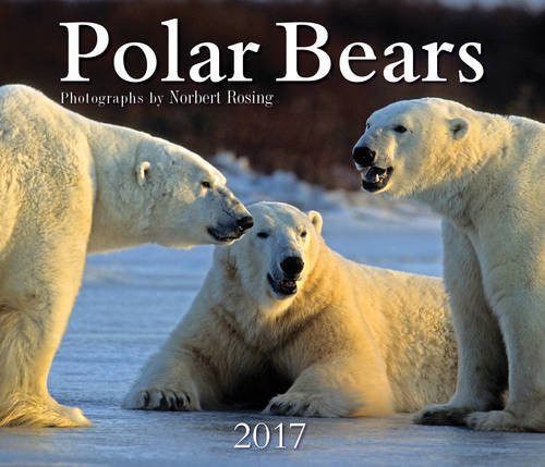 Polar Bears 2017 by 