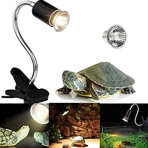 uvb light for tortoise
