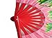 ZooBoo Chinese Bamboo Taichi Kungfu Fan Martial Arts Sports Folding Hand Fan 13inch (Pink)