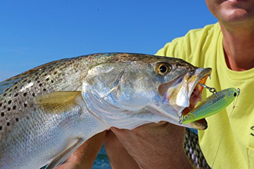 R1208-HPBK 3D Inshore Twitchbait, Color, Peanut Bunker, 90mm 3-1/2" - Thumbnail 5