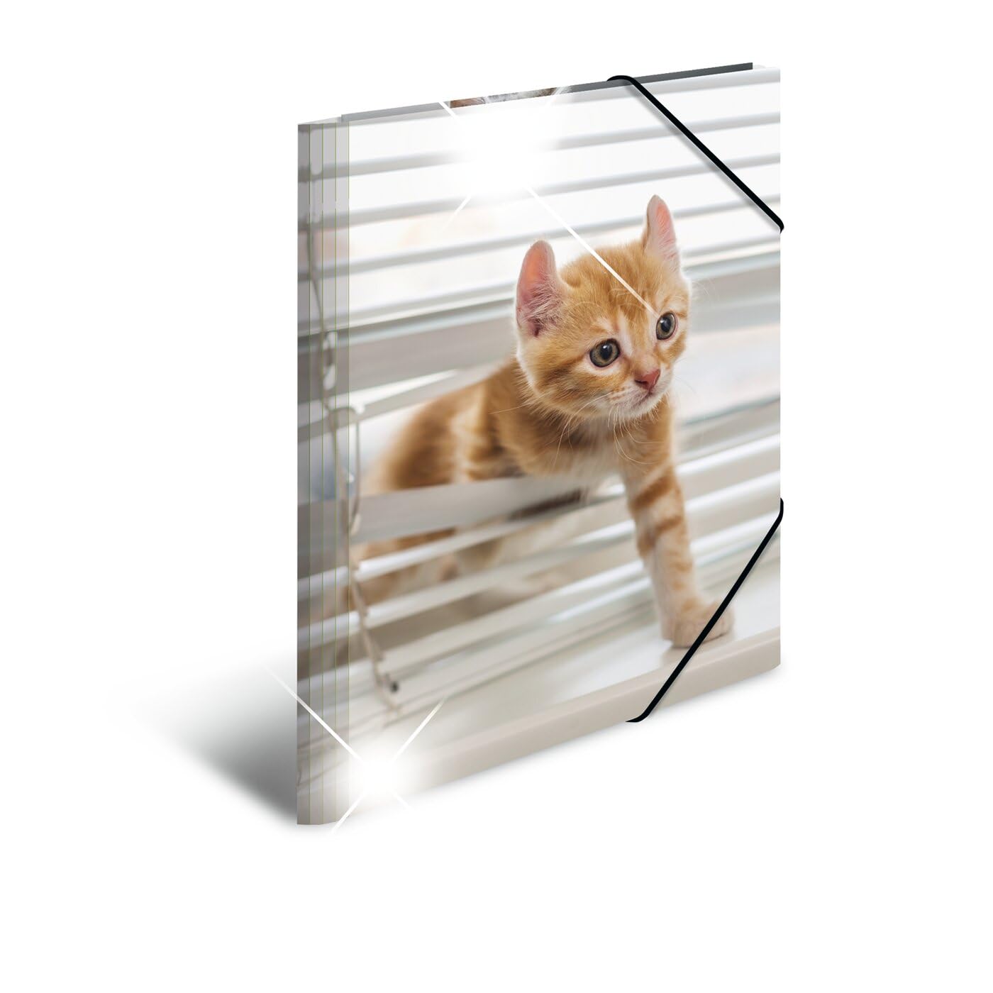 HERMA Elastic Folder Animals with Cats Motif, A3, Glossy Plastic, with Inner Print, 1 Span Folder