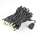 Novelty Lights 34 Feet Long, 100 LED Mini Black Wire Christmas Lights, Warm White, End to End Connectable, UL Listed for Indoor/Outdoor Use