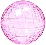 Kaytee Run-about 7" Exercise Ball, Rainbow