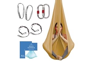 Aum Active Aerial Silk Yoga Hammock & Swing for Home, Inversion Exercises, Starter Kit for All Levels - Durable with Extension Straps, Carabiners, and Pose Guide