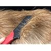 Masterclip-Flea-Removal-Grooming-Comb-for-Cats-Dogs-Rabbits-Effective-against-Fleas-Nits-Biting-Pests-Ticks-Flea-Dirt-Ectoparasites Masterclip | Flea Comb - Flea Removal Grooming Comb for Cats, Dogs, Rabbits. Effective against Fleas, Nits, Biting Pests…