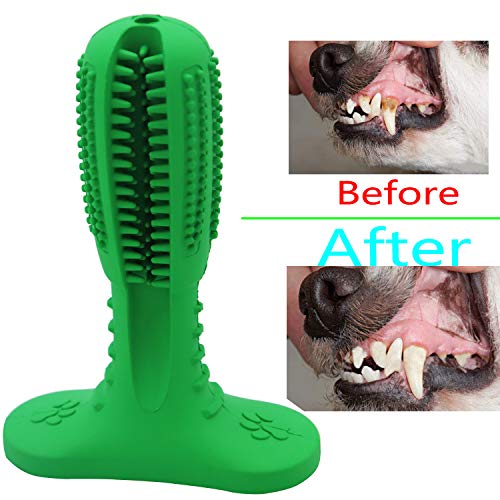 Adusa Dog Chew Cleaning Toothbrush - Safe, Non-Toxic & Long-Lasting Pet Brushing Stick Chew Toy - Dog Toothbrush Stick Toothpaste Effective Teeth Oral Care Cleaning Massager (Small and Medium Dogs) - Thumbnail 6