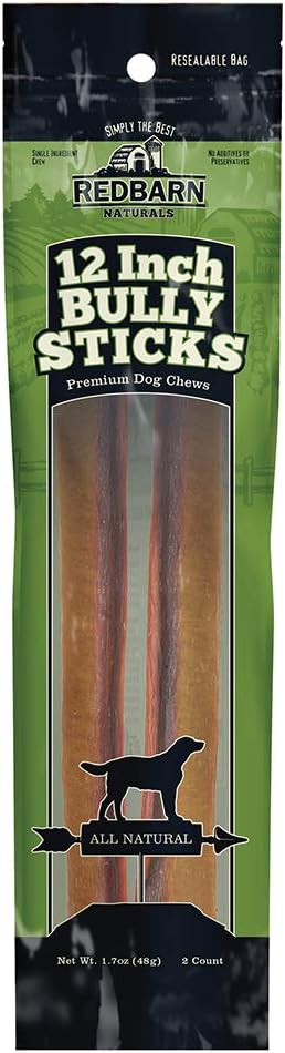 black toy poodle full grown