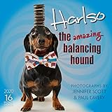Harlso 2020 Wall Calendar - The Amazing Balancing Hound: by Sellers Publishing
