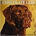 Just Chocolate Labs 2019 Wall Calendar (Dog Breed Calendar)