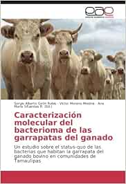 Caracterización molecular del bacterioma de las garrapatas del ganado: Un estudio sobre el status-quo de las bacterias que habitan la garrapata del ganado bovino en comunidades de Tamaulipas