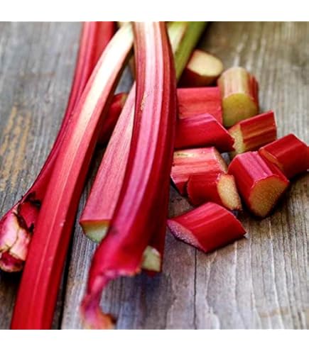 Rubarb Rubarb - Victory Of Love 7インチ 12 Pack: 1.5