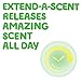 Gain Flings Scent Duets Laundry Detergent Pacs, Wildflower and Waterfall Scent, 61 Count