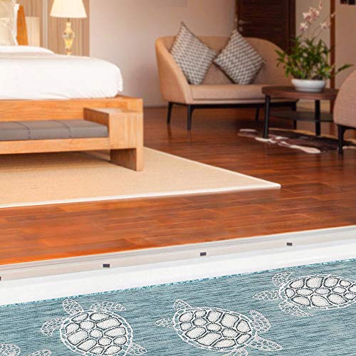 2 Liora+Manne+CRE45841304+Coastal+Seaturtles