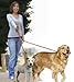 52'' No-Tangle Dual Dog Leash with Swivel, Comfortably Walks Two Dogs Weighing Up To 500 Pounds At Once
