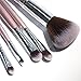 Halo World 10 Pieces Makeup Brushes Vegan and Cruelty Free Foundation Eyeshadow Lip Makeup Brush Set with Leather Bag (Silver)