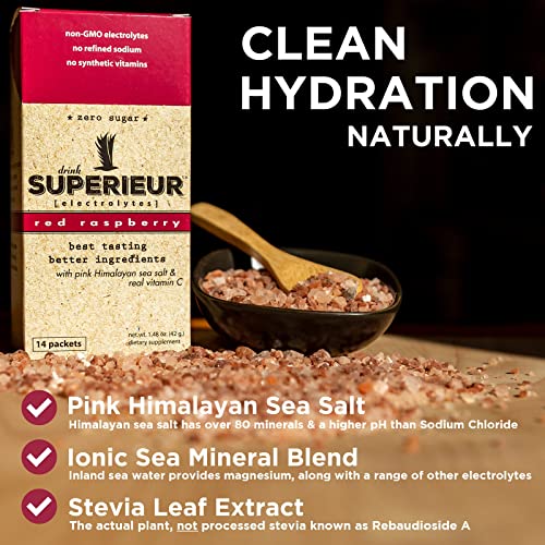 Superieur Electrolyte Powder Packets Vegan Electrolyte Hydration