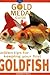 Golden Tips for Keeping Your First Goldfish (Gold Metal Guide) by Amanda O'Neil