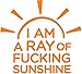 TheMugStore I'm A Ray Of Fucking Sunshine - 13 Oz White Ceramic Glossy Mug With Large C-handle (Microwave and Dishwasher Safe)