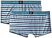 Calvin Klein Men's 2 Pack One Micro Trunk, Watson Stripe/Odyssey, Large