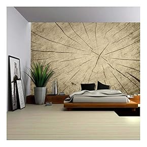 Up Close of The Inner Workings of a Cut Tree - Wall Mural, Removable Sticker, Home Decor - 66x96 inches