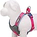 Blueberry Pet 4 Colors Soft & Comfy Summer Hope 3M Reflective Padded Dog Harness Vest, Chest Girth 20.5