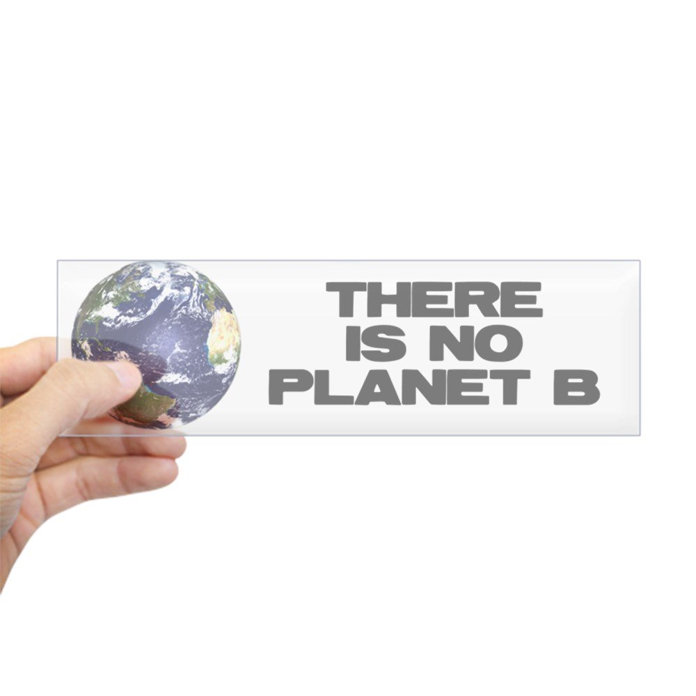 Cafepress No Planet B Bumper Sticker 10 X3 Rectangle Bumper