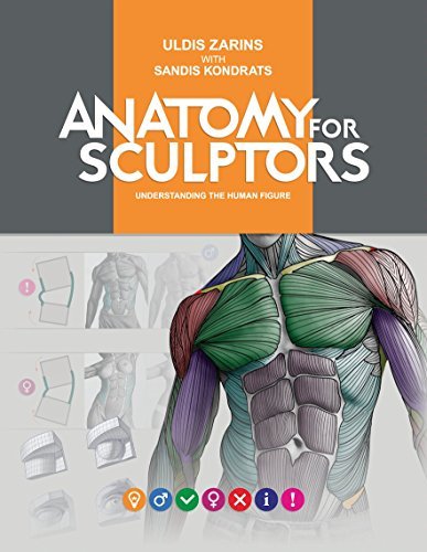 Anatomy for Sculptors Understanding the Human Figure