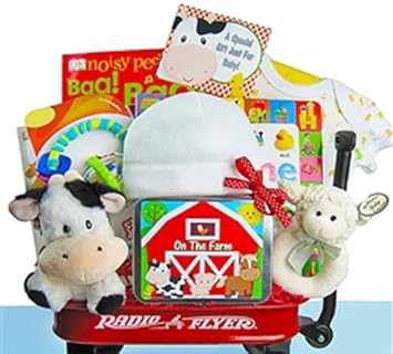baby einstein gifts