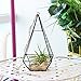 Mindful Design Glass Terrarium - Geometric Large Diamond Desktop Garden Planter (Black)
