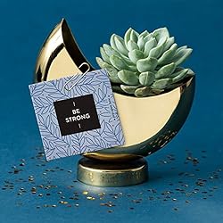 ThoughtFulls Pop-Open Cards by Compendium: Be