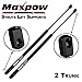 Maxpow 1Pair Rear Trunk Lift Supports Shocks Struts Compatible With Malibu 2008 2009 2010 2011 2012 6167