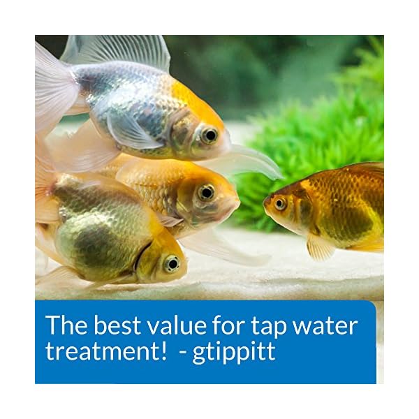 API TAP WATER CONDITIONER Aquarium Water Conditioner Bottle,White, 473 ml