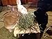 Small Pet Select 2nd Cutting Perfect Blend Timothy Hay Pet Food for Rabbits, Guinea Pigs, Chinchillas and Other Small Animals, Premium Natural Hay Grown in The US, 25 LB