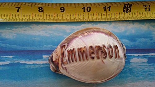 'Emmerson' Personalized Name Engraved on a Tiger Cowrie Seashell. All Natural - One of a kind Custom Hand Made