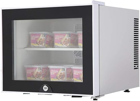 Liu Uk Car Refrigerator Hotelzimmer Kuhlschrank Lebensmittel