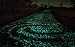 CUGBO 100 Man-made Green Glow Pebbles Stone Luminous Decorative Stones for Garden Walkway or Fountain Aquarium