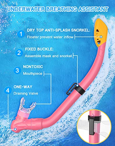 Gintenco Kids Snorkel Set, Diving Mask Dry Top Snorkel Set Kids, Anti-Fog Panoramic Snorkel Mask Impact Resistant Tempered Glass, Snorkelling Gear with Breathing Tube for Youth Junior Girls Boys