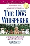 The Dog Whisperer 2Nd Edition by Paul Owens