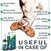 Animalest - Hemp Oil Dogs Cats - 1250 Mg - Relief Dog Cat Hemp Oil Calming Treats - Pets Anxiety Tension Hip Seizures Joint Pain Remedy Arthritis Sleep Stress - Omega 3,6,9 Pet Vitamins - 6in1 Drops