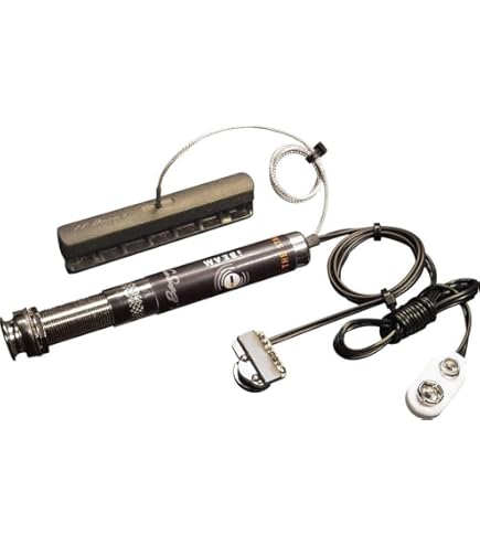 LR Baggs ELEMENT 美品 Amazon.com: LR Baggs Element Active System with Volume and