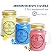 HELLY 3 Pack Everyday Assortment Mini Scented Mason Jar Candles – 3.5 Oz French Vanilla, 3.5 Oz Lemon, 3.5 Oz Oceanthumb 1