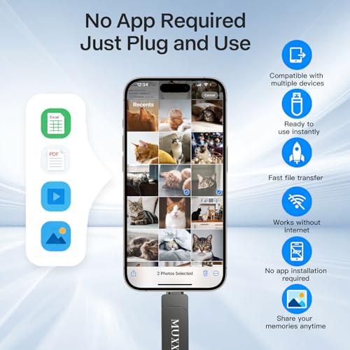 MUXXUE 256GB iPhone Pendrive without App, External iPhone Memory 3 in 1 for 1Phone 1Pad Android and PC USB C Memory Pen Drive for Photos, Videos and Files
