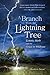 A Branch from the Lightning Tree: Ecstatic Myth and the Grace of Wildness