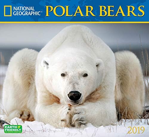 POLAR BEARS 2019 CALENDAR NATIONAL GEOGRAPHIC OFFICIAL WALL (35cm x 30cm) NEW AND SEALED