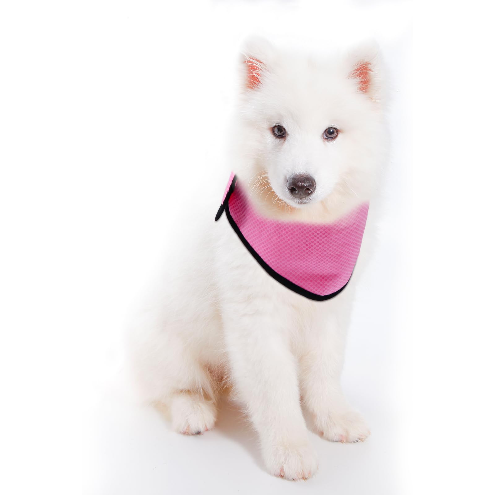 iplusmile Pet Cooling Collar Dog Ice Scarf Summer Cooling Towel Neck Wrap for Outdoor Walking Running