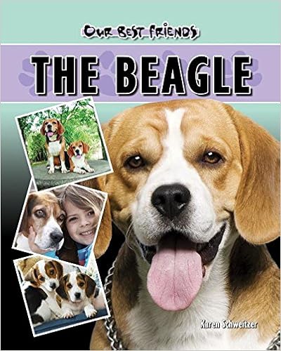 The Beagle (Our Best Friends) �n�[�h�J�o�[ - 2010/3/1