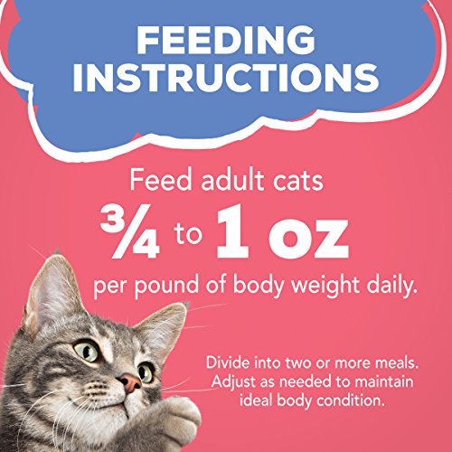 Purina Friskies Shreds Salmon Wet Cat Food - Image 12