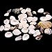 100g/pack Beach Mixed SeaShells Mix Sea Shell Shell Craft SeaShells Aquarium Decor,Type Random By Team-Management